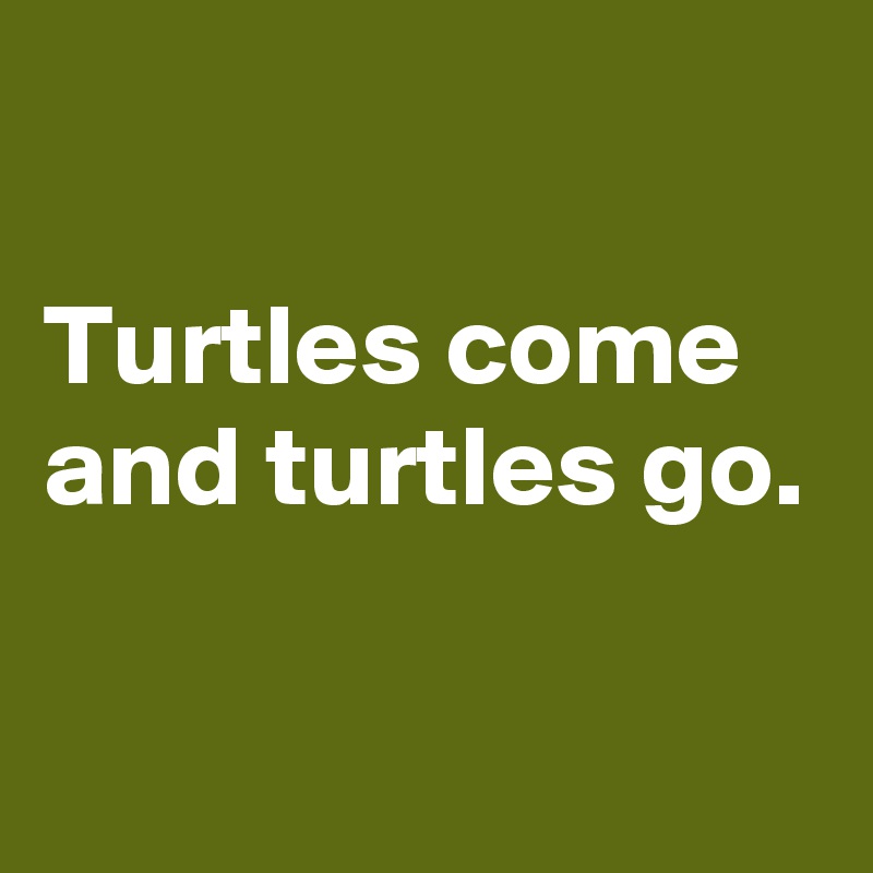 

Turtles come and turtles go.

