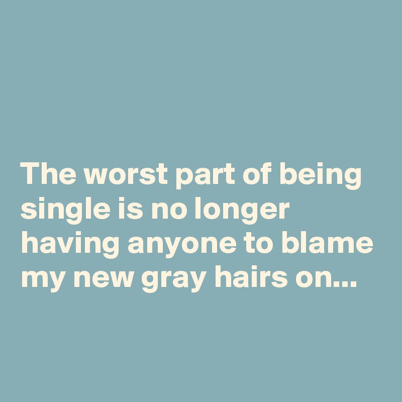 



The worst part of being single is no longer having anyone to blame my new gray hairs on...

