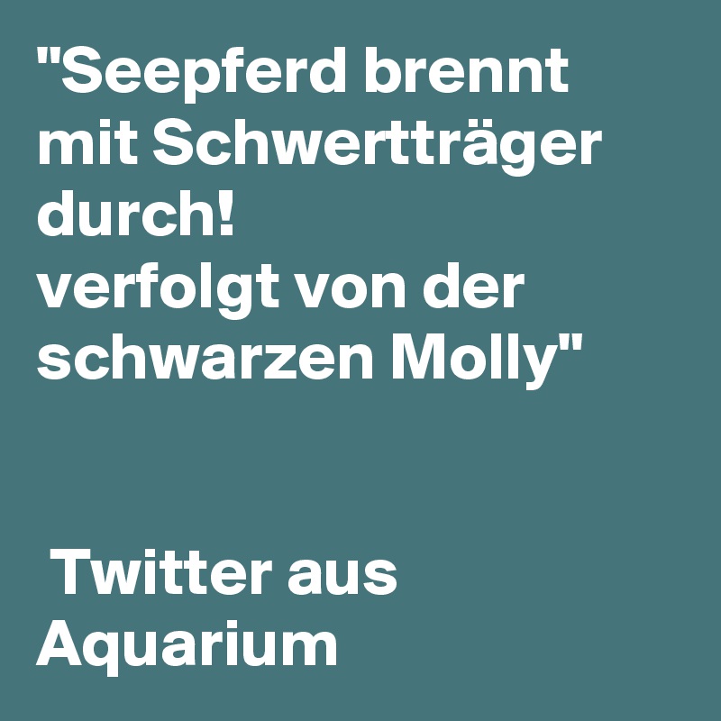 "Seepferd brennt mit Schwertträger durch! 
verfolgt von der schwarzen Molly"


 Twitter aus Aquarium