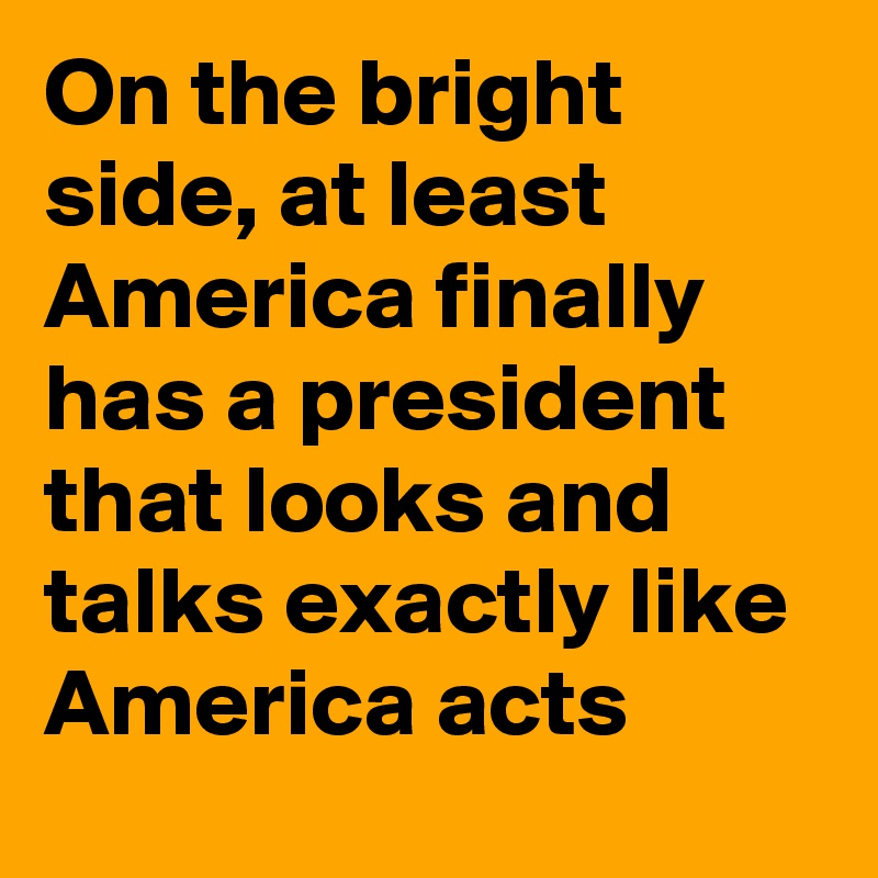 On the bright side, at least America finally has a president that looks and talks exactly like America acts