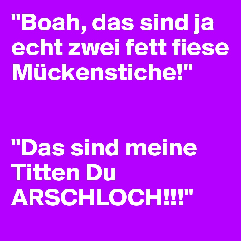 "Boah, das sind ja echt zwei fett fiese Mückenstiche!" 


"Das sind meine Titten Du ARSCHLOCH!!!"