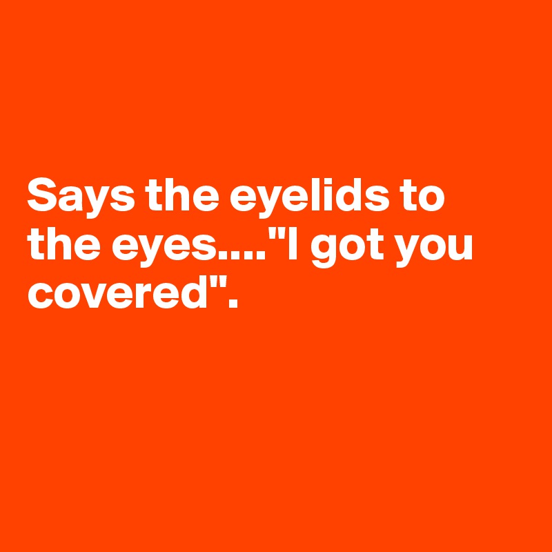 


Says the eyelids to the eyes...."I got you covered".



