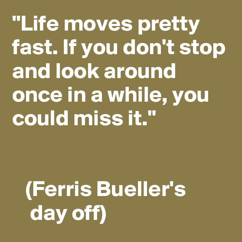 "Life moves pretty fast. If you don't stop and look around once in a while, you could miss it."


   (Ferris Bueller's
    day off)