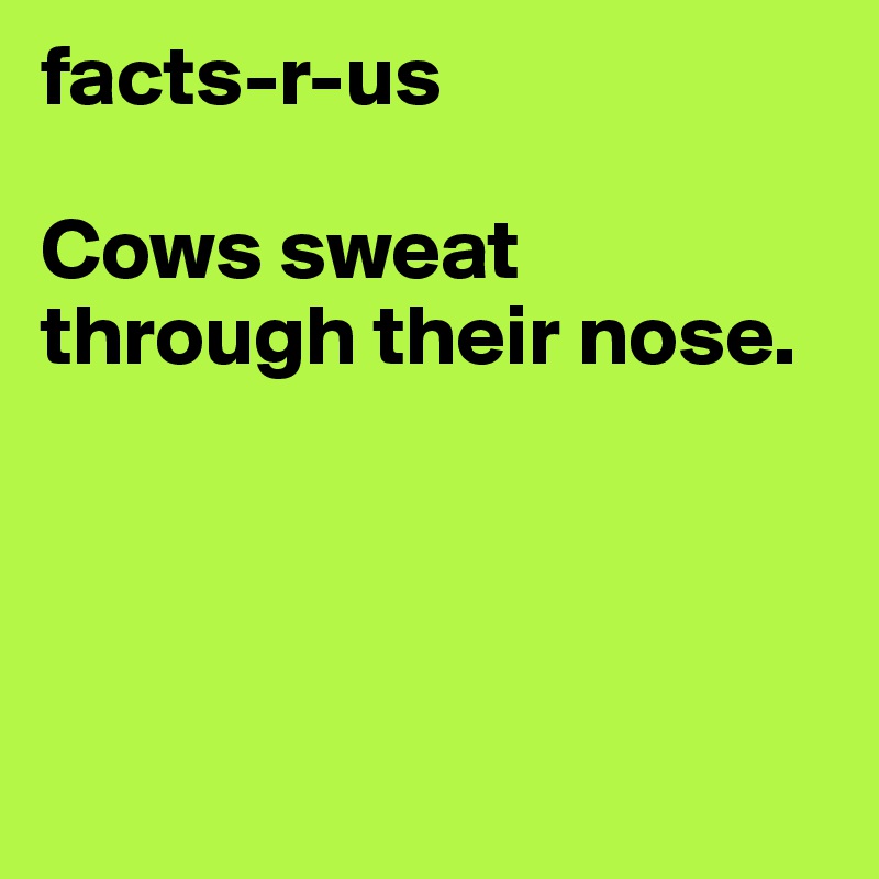 facts-r-us

Cows sweat through their nose.




