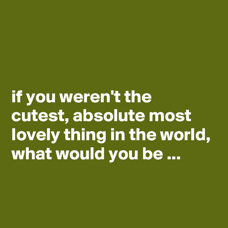 



if you weren't the cutest, absolute most lovely thing in the world, what would you be ...

