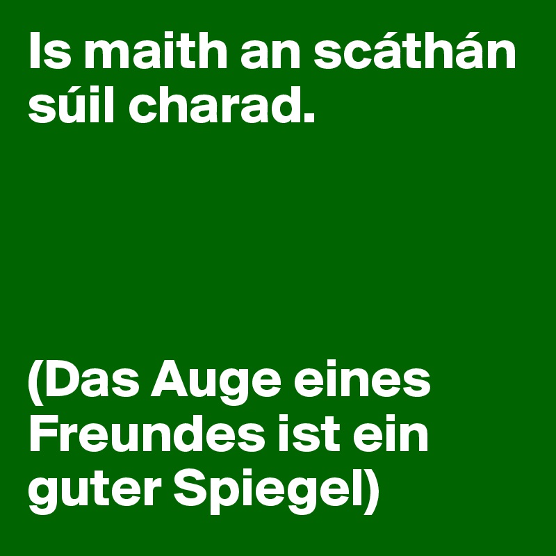 Is maith an scáthán súil charad. 




(Das Auge eines Freundes ist ein guter Spiegel) 