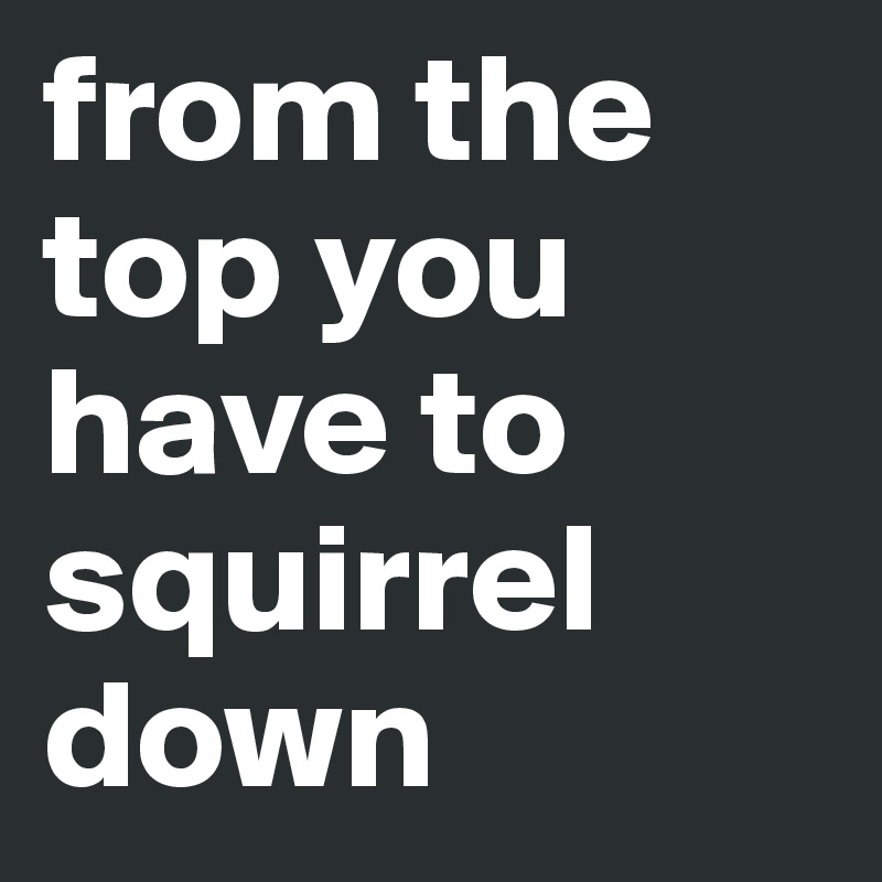 from the top you have to
squirrel down