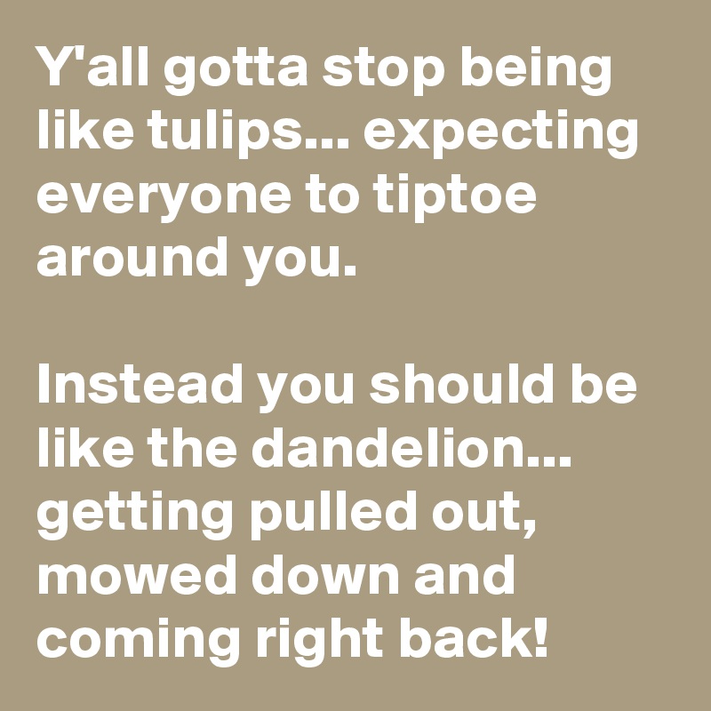 Y'all gotta stop being like tulips... expecting everyone to tiptoe around you.

Instead you should be like the dandelion... getting pulled out, mowed down and coming right back! 