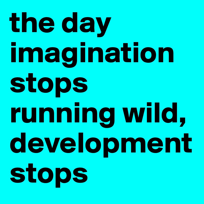 the day imagination stops running wild, development stops