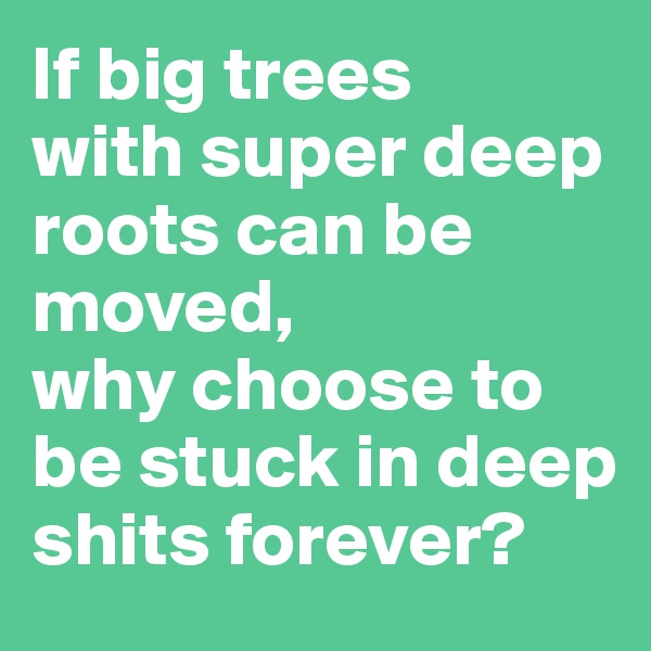 If big trees 
with super deep roots can be moved, 
why choose to be stuck in deep shits forever?
