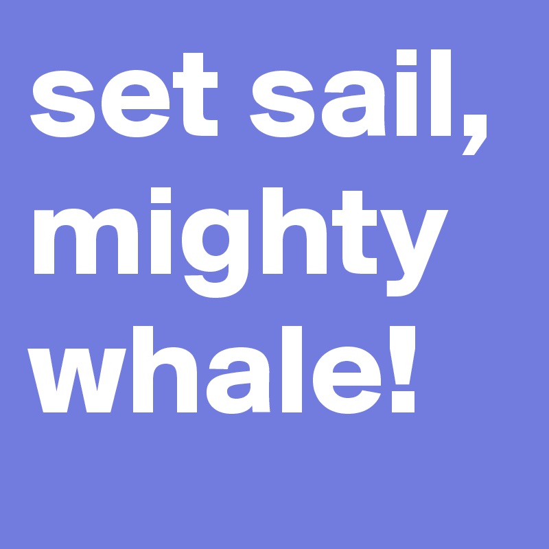 set sail, mighty whale!
