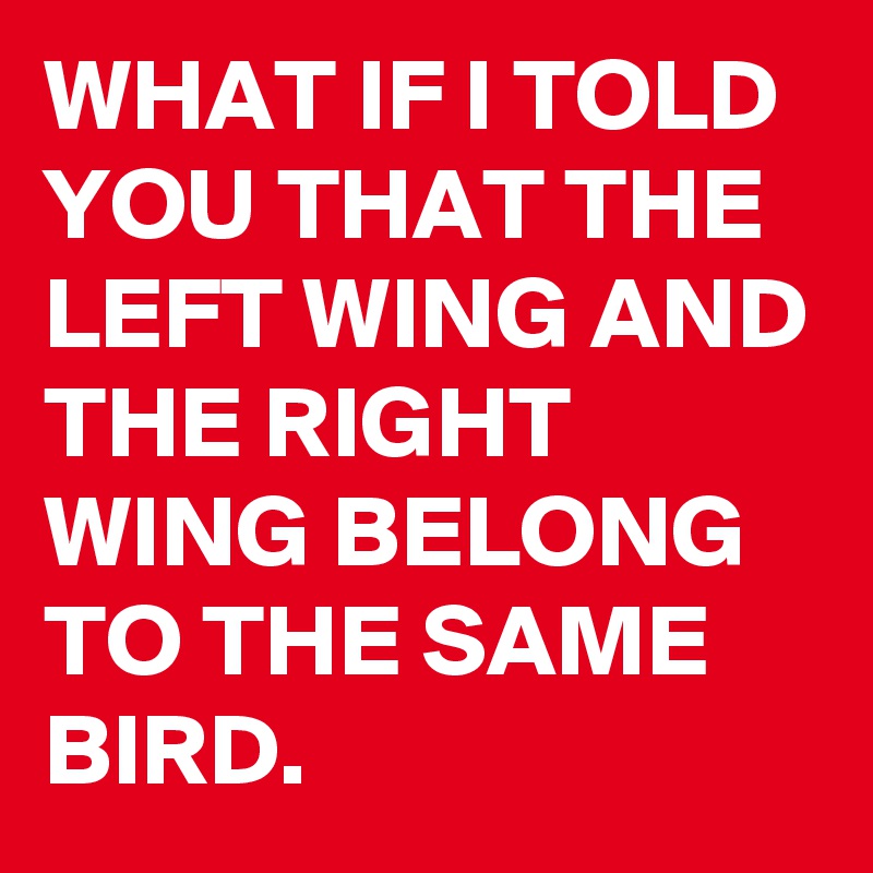 WHAT IF I TOLD YOU THAT THE LEFT WING AND THE RIGHT WING BELONG TO THE SAME BIRD.
