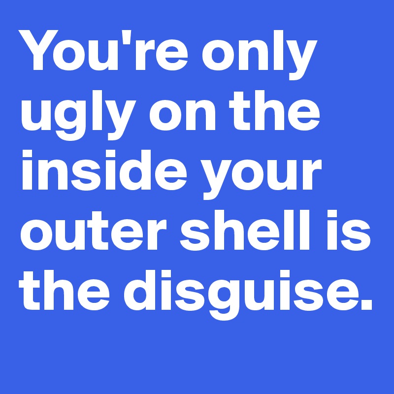 You're only ugly on the inside your outer shell is the disguise. 
