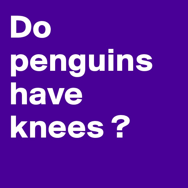 Do penguins have   knees ?    
           