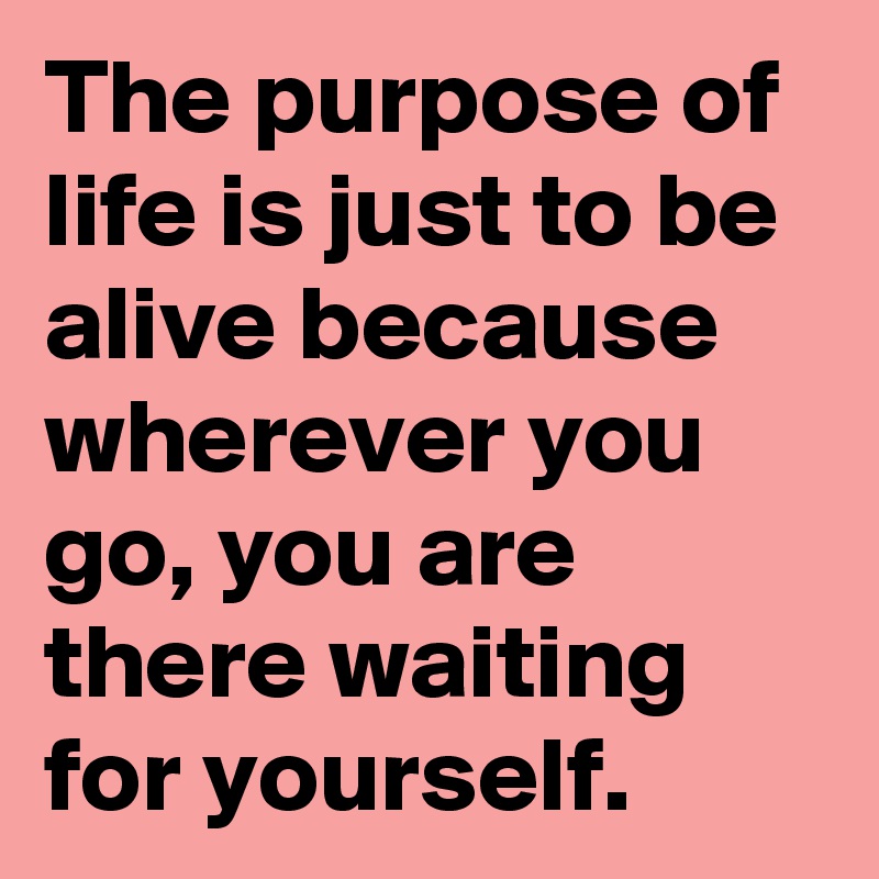The purpose of life is just to be alive because wherever you go, you are there waiting for yourself.