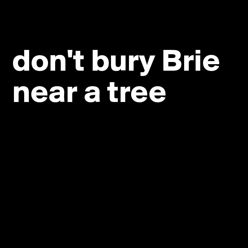 
don't bury Brie near a tree



