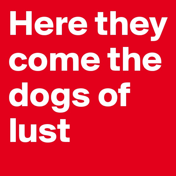 Here they come the dogs of lust 