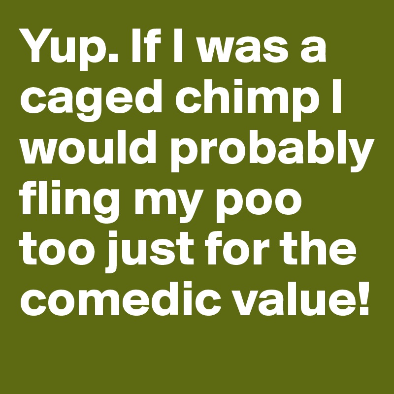 Yup. If I was a caged chimp I would probably fling my poo too just for the comedic value!