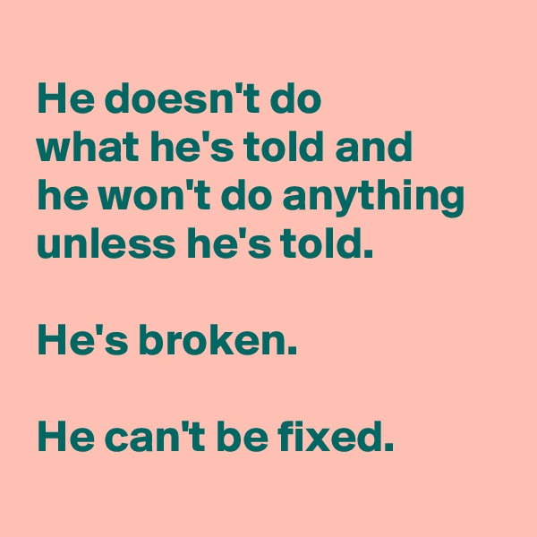 
 He doesn't do 
 what he's told and
 he won't do anything
 unless he's told.

 He's broken.

 He can't be fixed.
