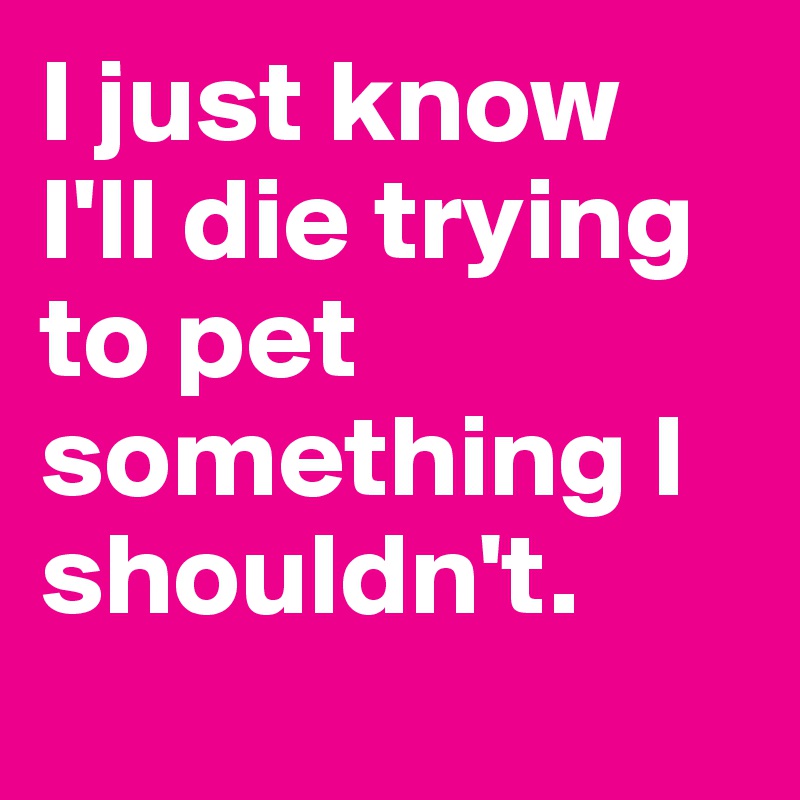 I just know I'll die trying to pet something I shouldn't. 
