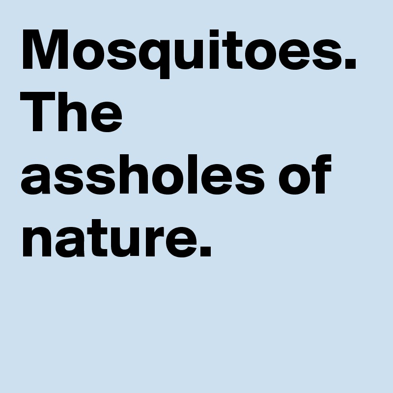 Mosquitoes.
The assholes of nature.