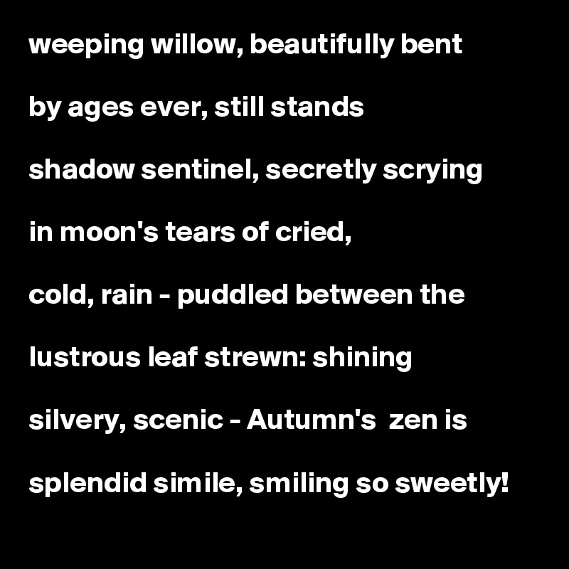 weeping willow, beautifully bent

by ages ever, still stands

shadow sentinel, secretly scrying

in moon's tears of cried,

cold, rain - puddled between the

lustrous leaf strewn: shining

silvery, scenic - Autumn's  zen is

splendid simile, smiling so sweetly!     