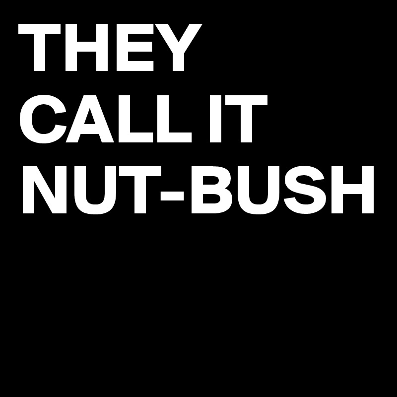 THEY
CALL IT
NUT-BUSH
