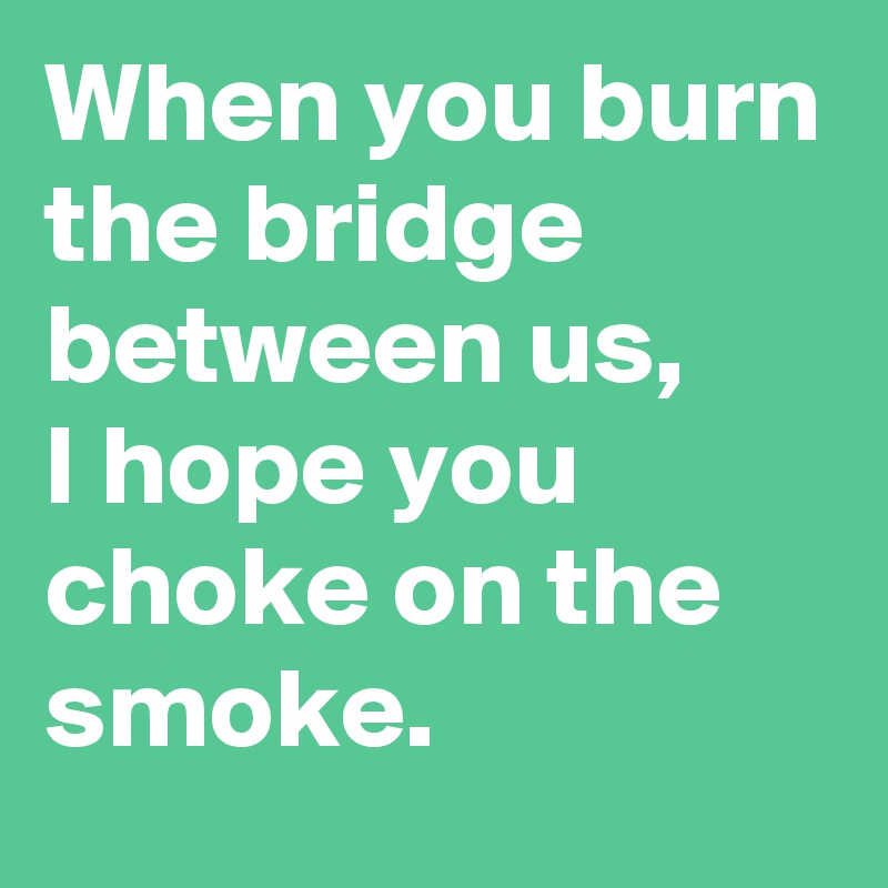 When you burn the bridge between us,
I hope you choke on the smoke.