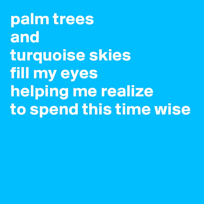 palm trees
and
turquoise skies
fill my eyes
helping me realize
to spend this time wise



