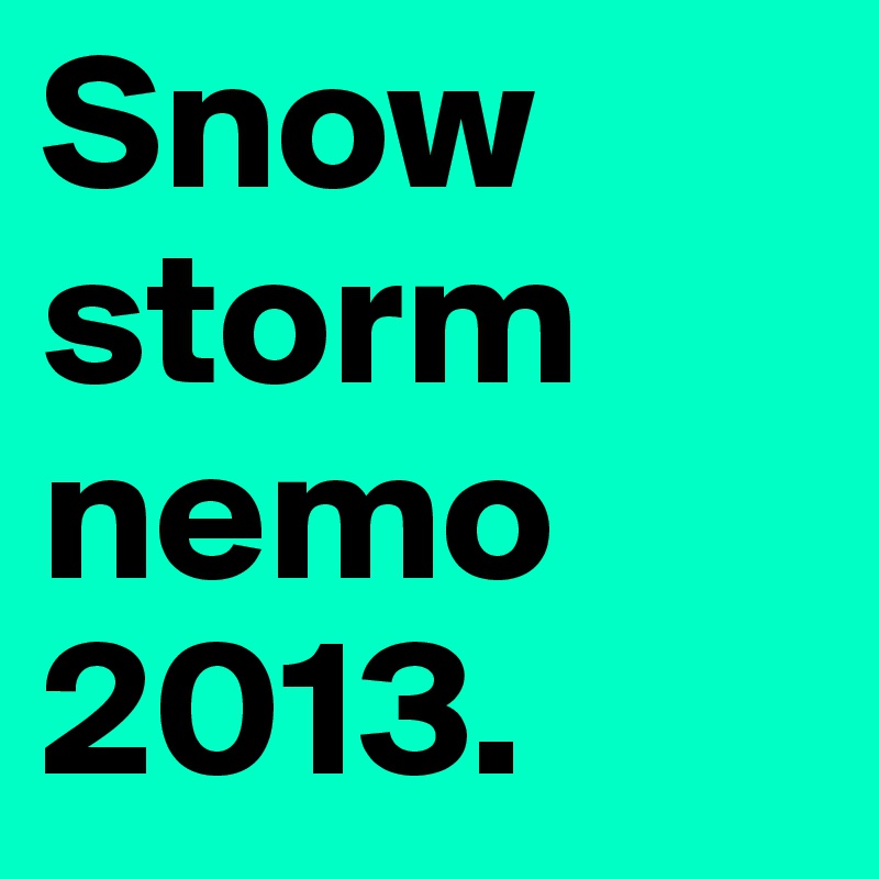 Snow storm nemo 2013. 