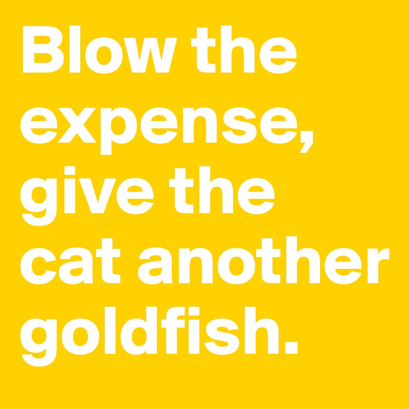 Blow the expense, give the cat another goldfish.