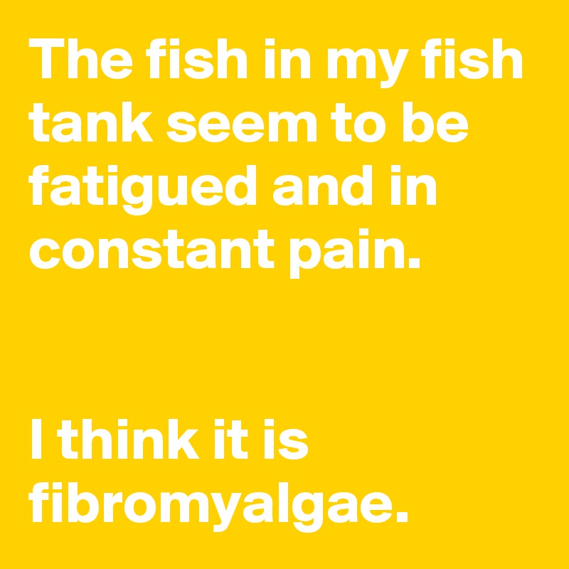 The fish in my fish tank seem to be fatigued and in constant pain.


I think it is fibromyalgae.