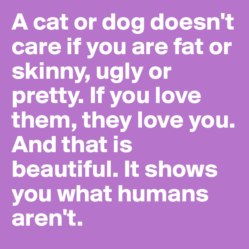 A cat or dog doesn't care if you are fat or skinny, ugly or pretty. If you love them, they love you. And that is beautiful. It shows you what humans aren't. 