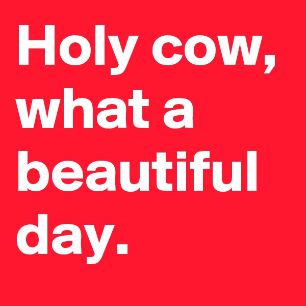 Holy cow, what a beautiful day. 