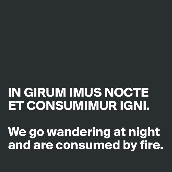 





IN GIRUM IMUS NOCTE ET CONSUMIMUR IGNI.

We go wandering at night and are consumed by fire.