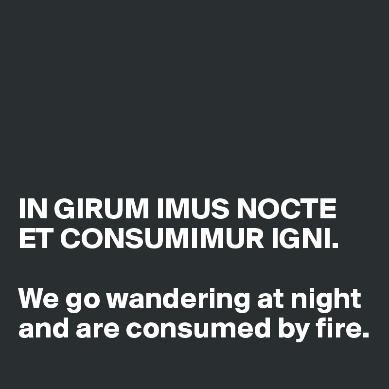 





IN GIRUM IMUS NOCTE ET CONSUMIMUR IGNI.

We go wandering at night and are consumed by fire.