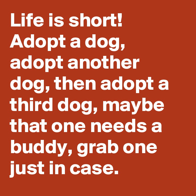 Life Is Short Adopt A Dog. Adopt Another Dog. Then Adopt Life Is Short Adopt A Dog. Adopt Another Dog. Then Adopt