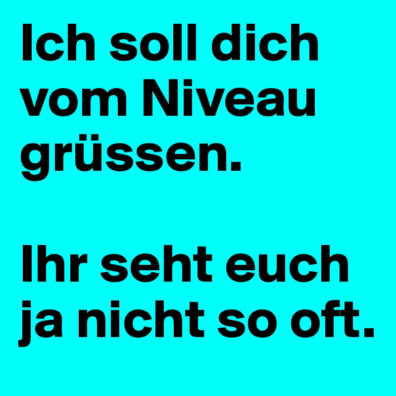 Ich soll dich vom Niveau grüssen.

Ihr seht euch ja nicht so oft.