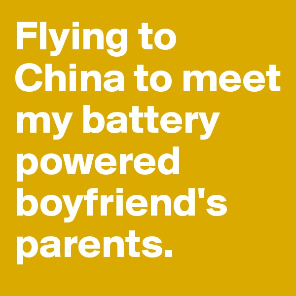 Flying to China to meet my battery powered  boyfriend's parents.