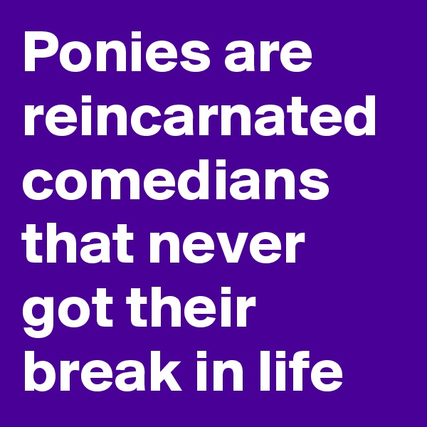 Ponies are reincarnated comedians that never got their break in life