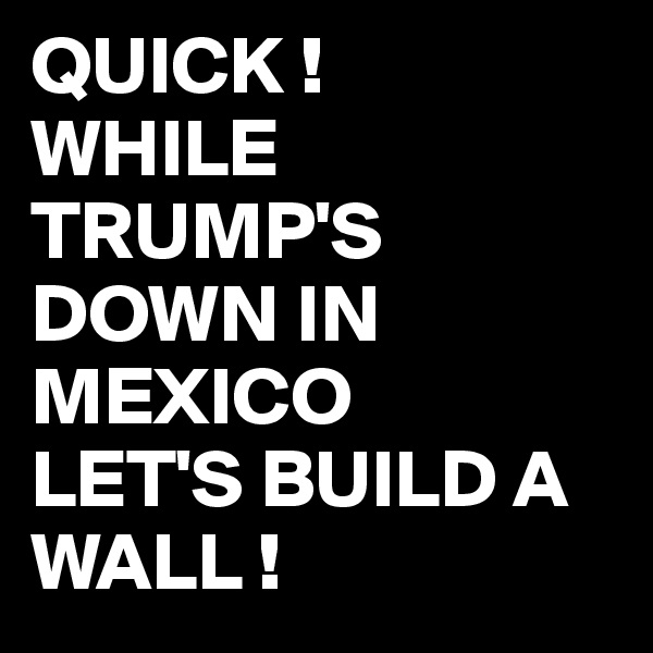 QUICK !
WHILE TRUMP'S DOWN IN MEXICO
LET'S BUILD A WALL !