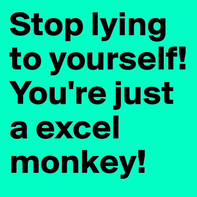 Stop lying to yourself! You're just a excel monkey!