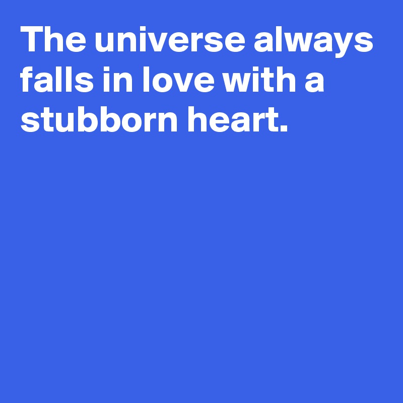 The universe always falls in love with a stubborn heart.




