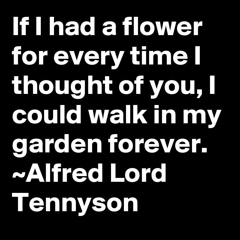If I had a flower for every time I thought of you, I could walk in my garden forever.
~Alfred Lord Tennyson