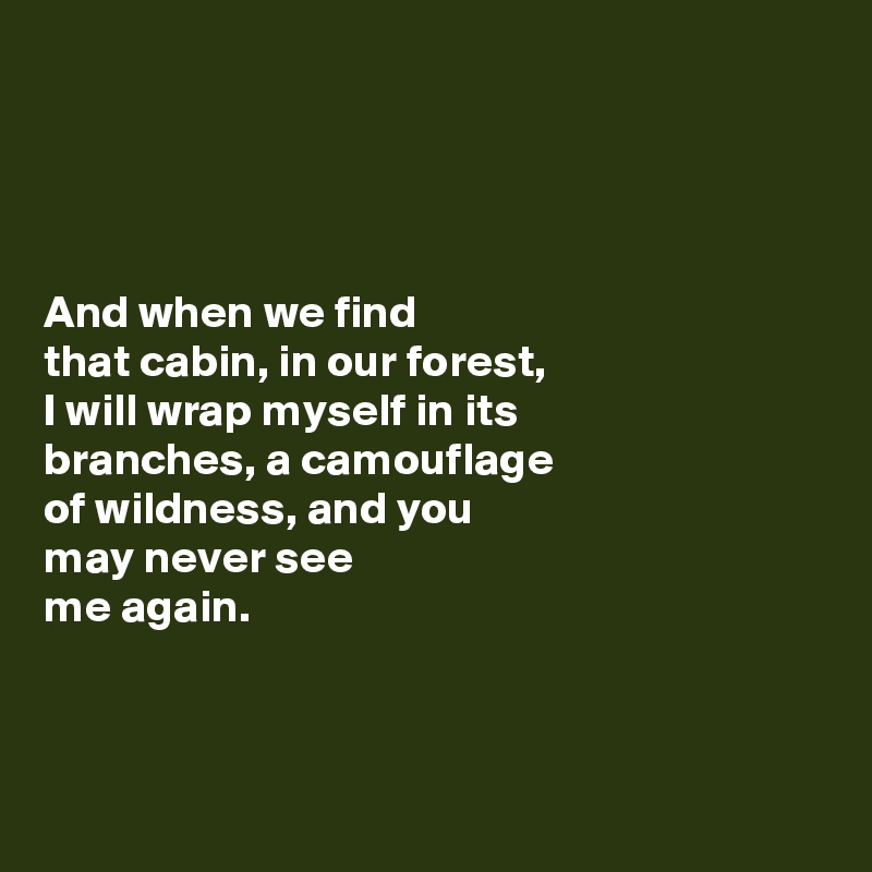 




And when we find 
that cabin, in our forest, 
I will wrap myself in its 
branches, a camouflage
of wildness, and you 
may never see 
me again. 



