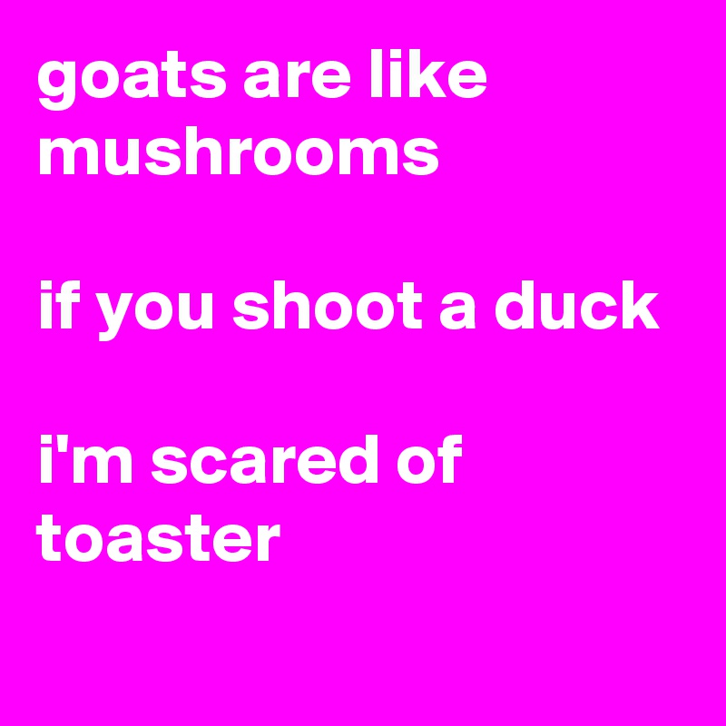 goats are like mushrooms 

if you shoot a duck 

i'm scared of toaster 
