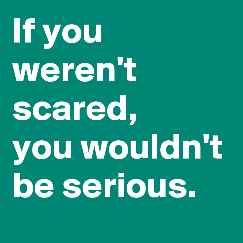 If you weren't scared, 
you wouldn't be serious.