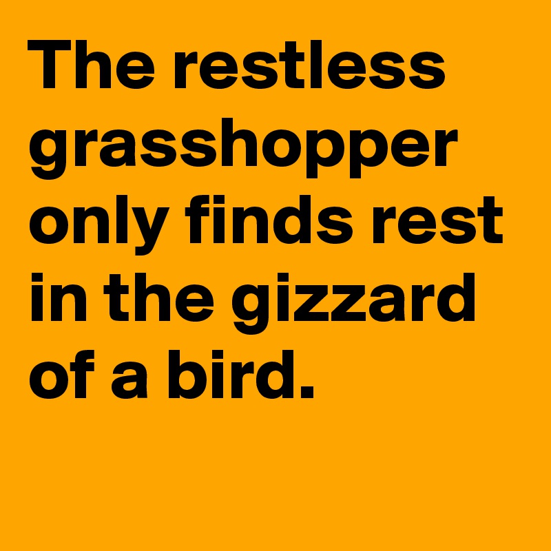 The restless grasshopper only finds rest in the gizzard of a bird.
