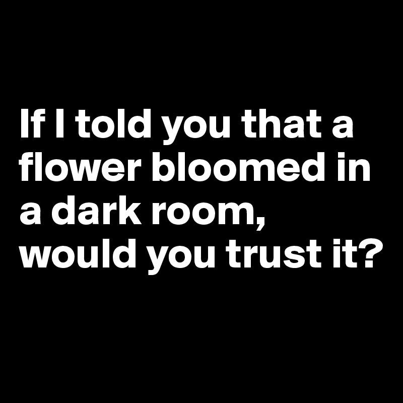 

If I told you that a flower bloomed in a dark room, would you trust it?

