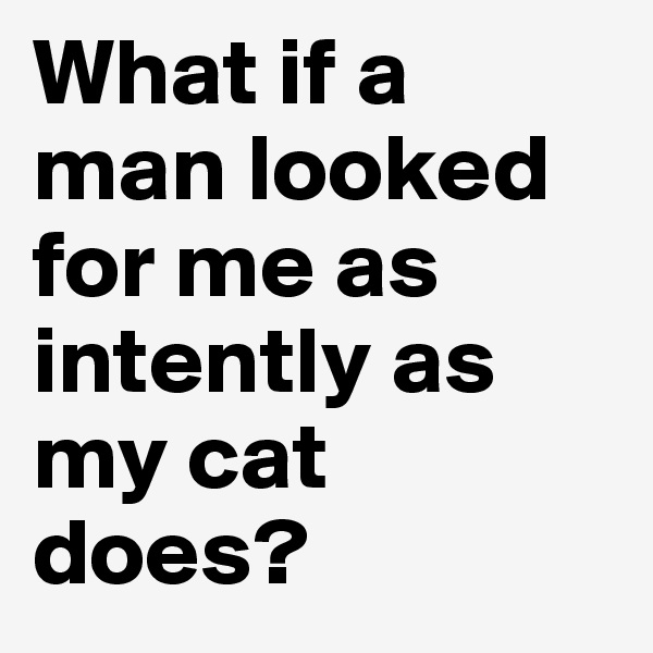 What if a man looked for me as intently as my cat does? 